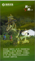 20tsdf005 首页|壹定发EDF最新官方网站