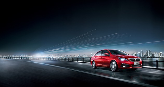 ����Ư��308