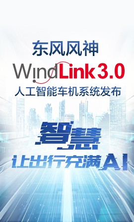 Windlink 3.0�˹����ܳ���ϵͳ