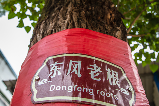 �����ϸ�